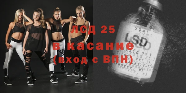 крисы Магас