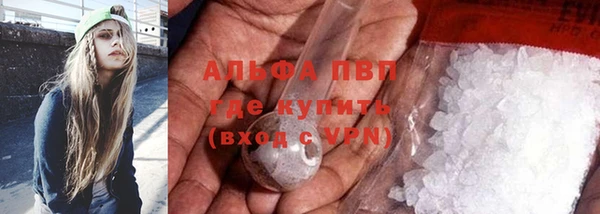 крисы Магас