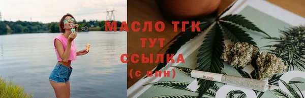 крисы Магас