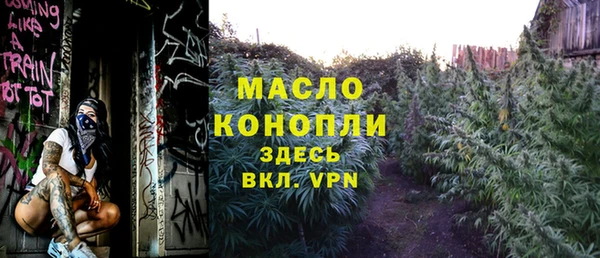 крисы Магас