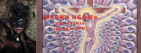 крисы Магас