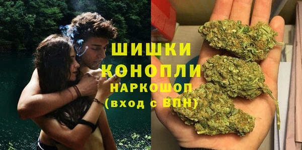 крисы Магас