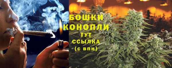 крисы Магас